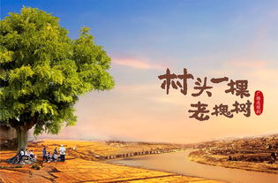 西安文藝創(chuàng)作精品打響古都文化品牌 抒寫精彩中國故事